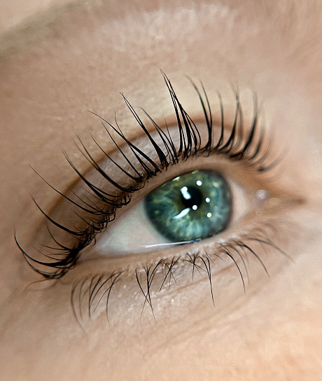 О процедурах